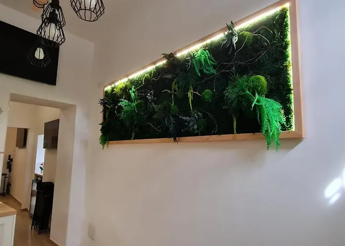 Διαμέρισμα Viola *